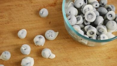 frozen yogurt covered blueberries
