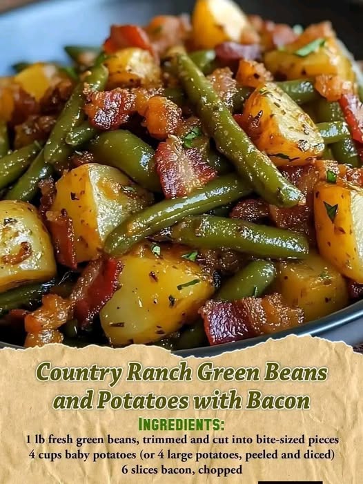 649399142 1723369389035067 8308081608964523304 n