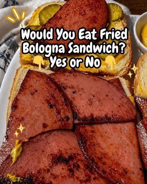 681196843 122210813078351195 4406773081153200061 n