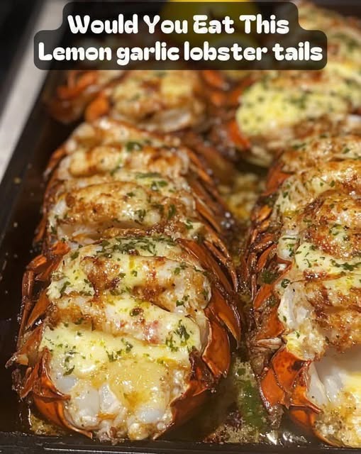 683734744 4388934858053990 575270357086415720 n